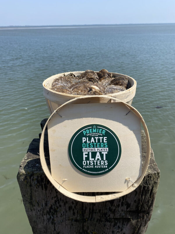 Platte Oesters