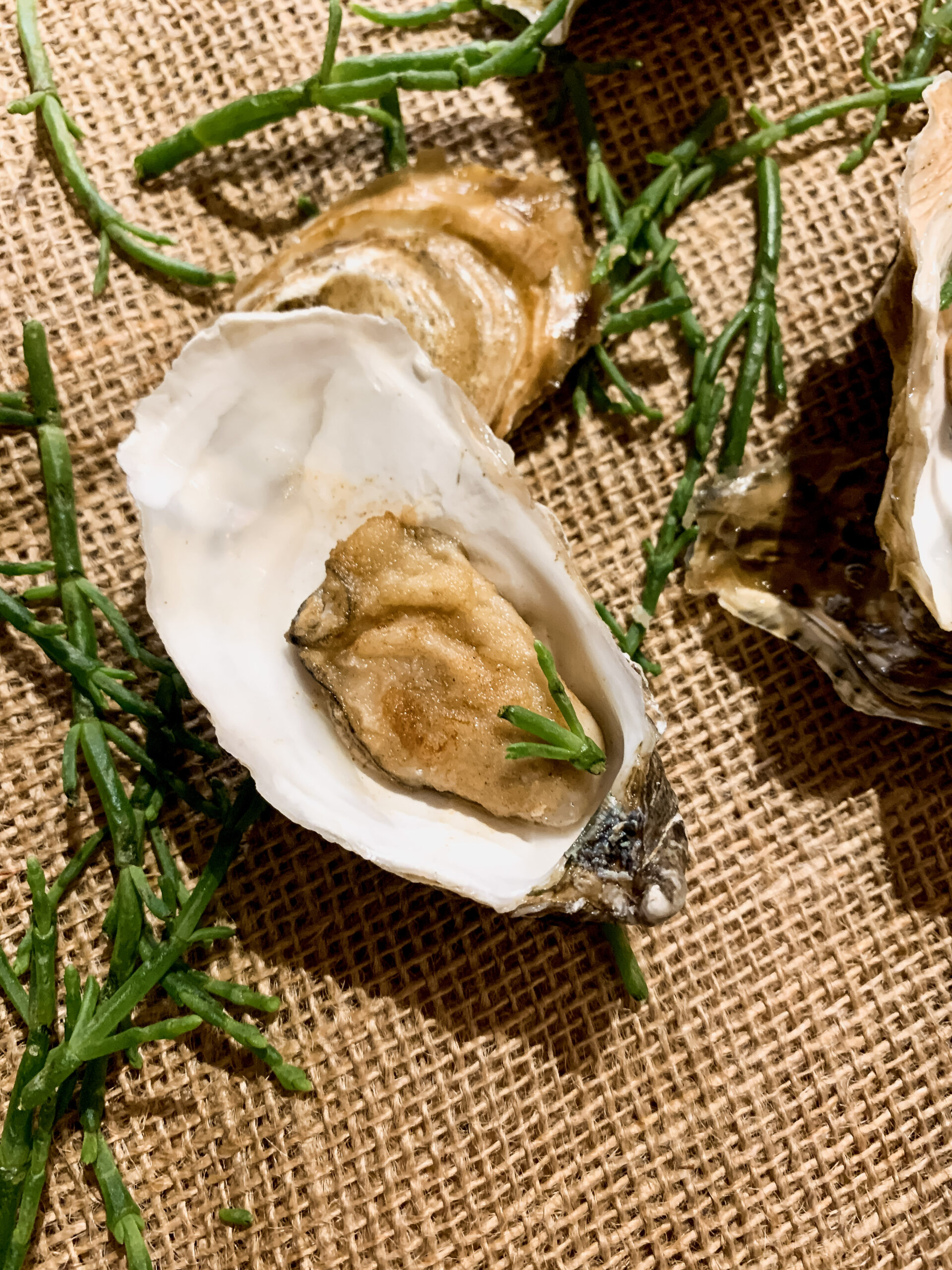 gebakken oesters