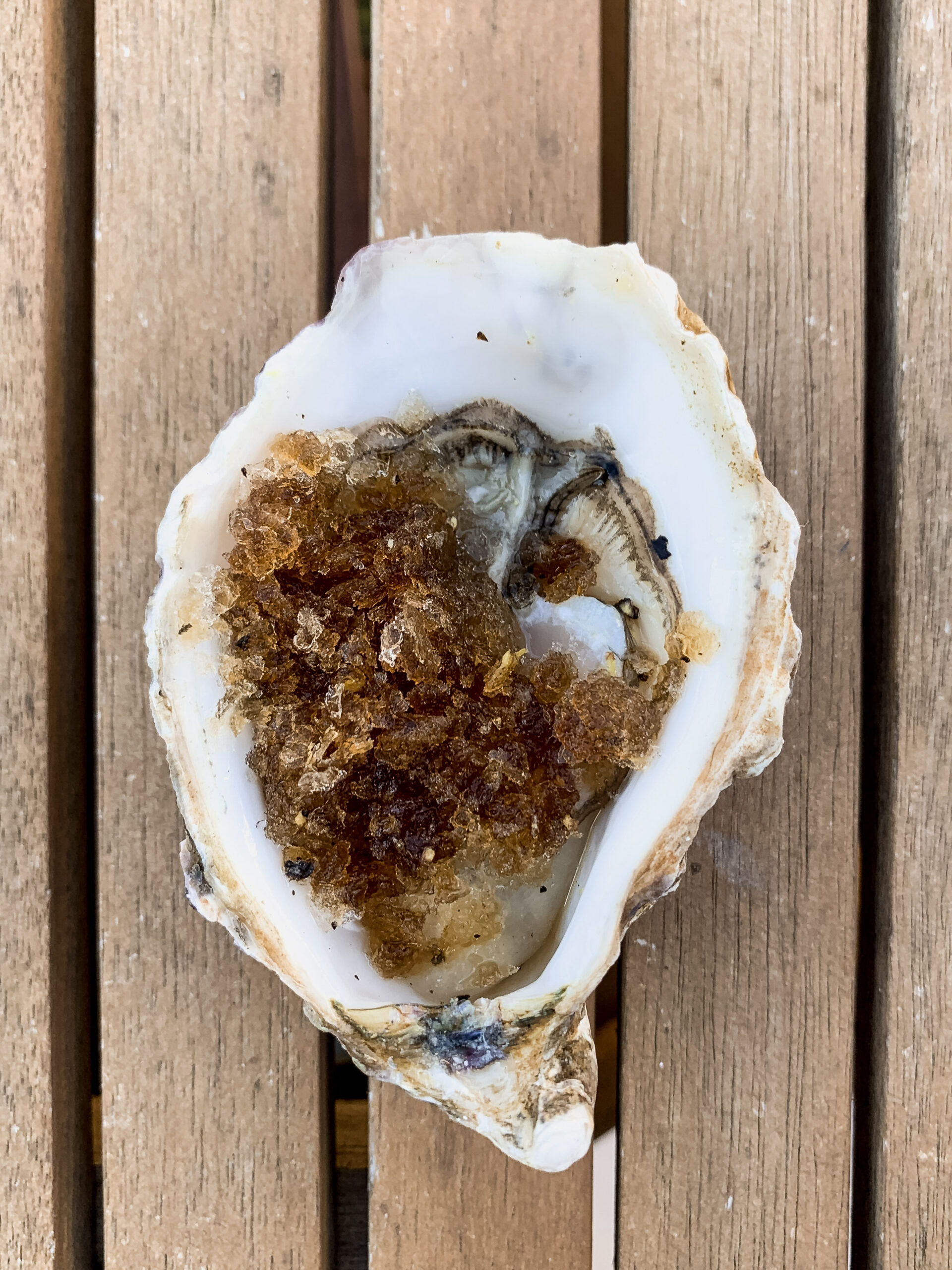 oesters guinness granita