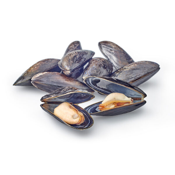 Premier Mussels Imperial - Image 3