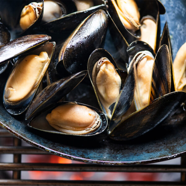 Premier Mussels Extra - Image 2